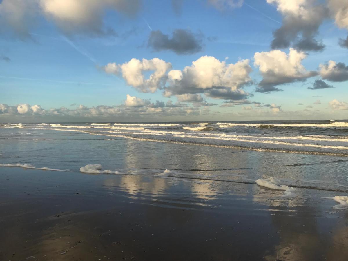 Kust Appartement Egmond aan Zee Eksteriør bilde